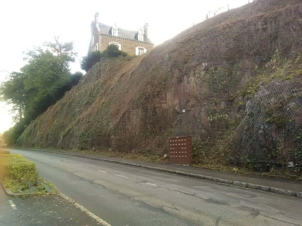 Rennes, Désherbage et de végétalisation parois rocheuses, Fougères - Fin.jpg