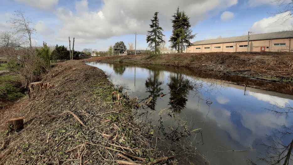 serpe-toulouse-travaux-restaurations-elagage-abattage-directionnel-restauration-berges-nettoyagedebroussaillage.png.png