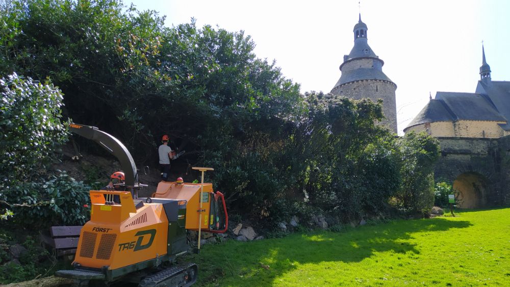 Serpe - Gestion de la végétation aux abords du Fort Saint-Père 2.png