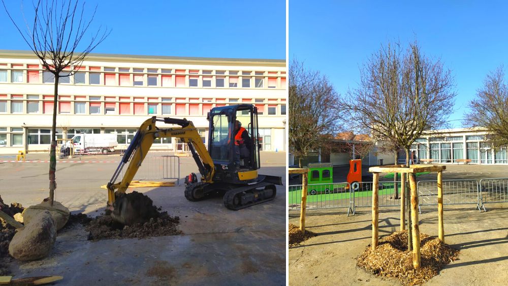 SEM Espaces Verts - Plantation de 20 arbres sur la commune de Villepreux.png