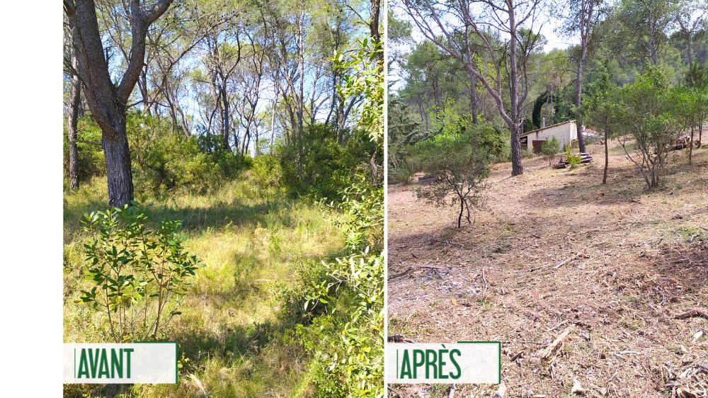 Serpe Montpellier - Débroussaillage règlementaire 50m autour d’une habitation.png