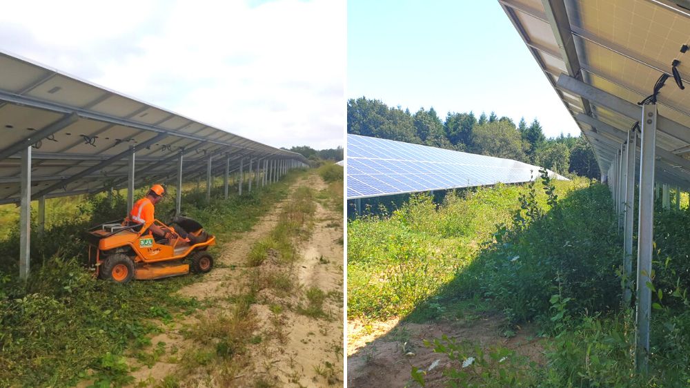 Serpe - Débroussaillage manuel sous-table et inter-table d'un champ photovoltaïque 2.png