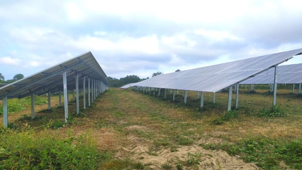 Serpe - Débroussaillage manuel sous-table et inter-table d'un champ photovoltaïque 3.png