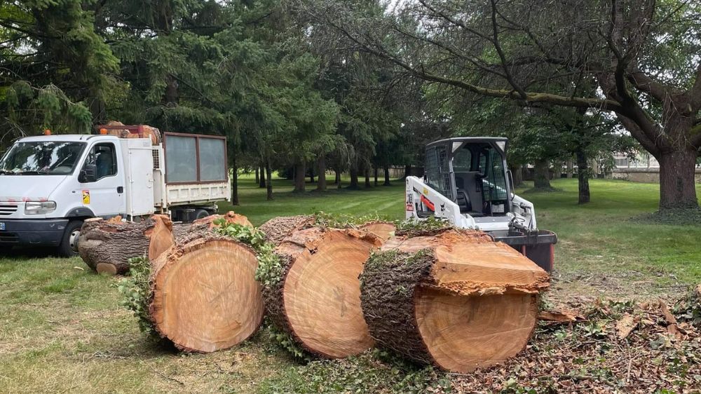 Limoges -Val de Bonnieure - abattage démontage 2021 .png