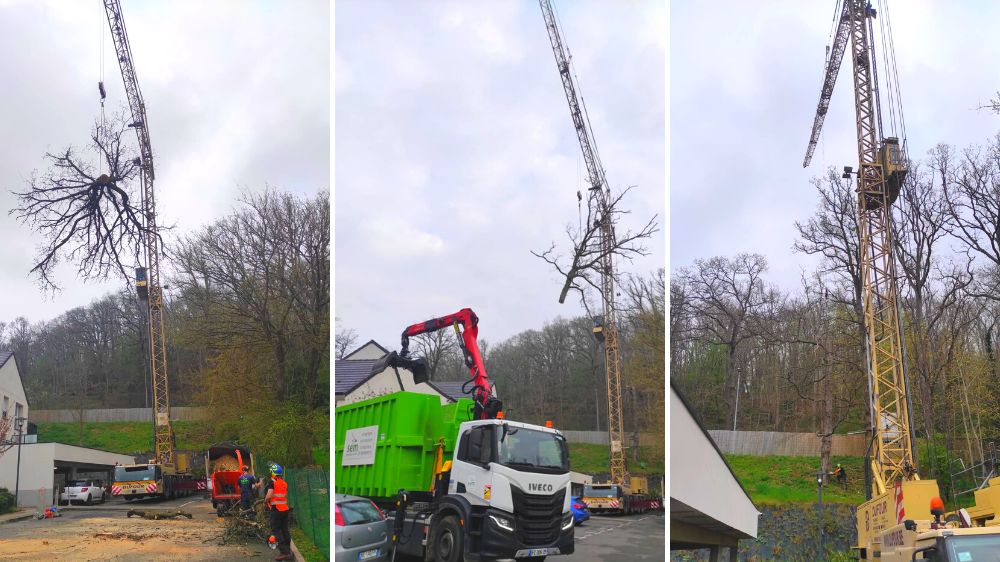 SEM - Elancourt - Démontage avec une grue de levage - 2022.png