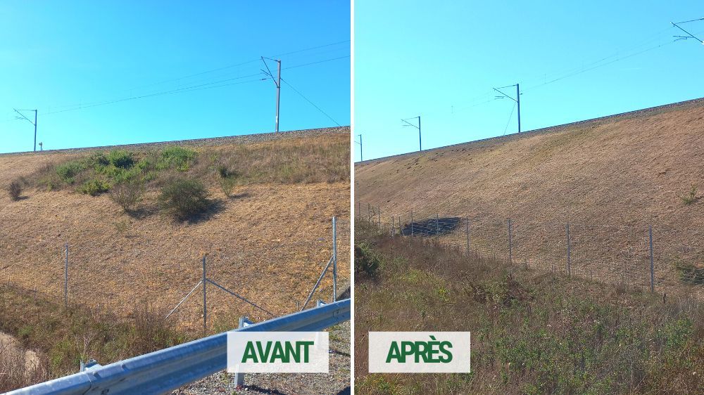 Poitiers - Mise à blanc d'un talus à Niort