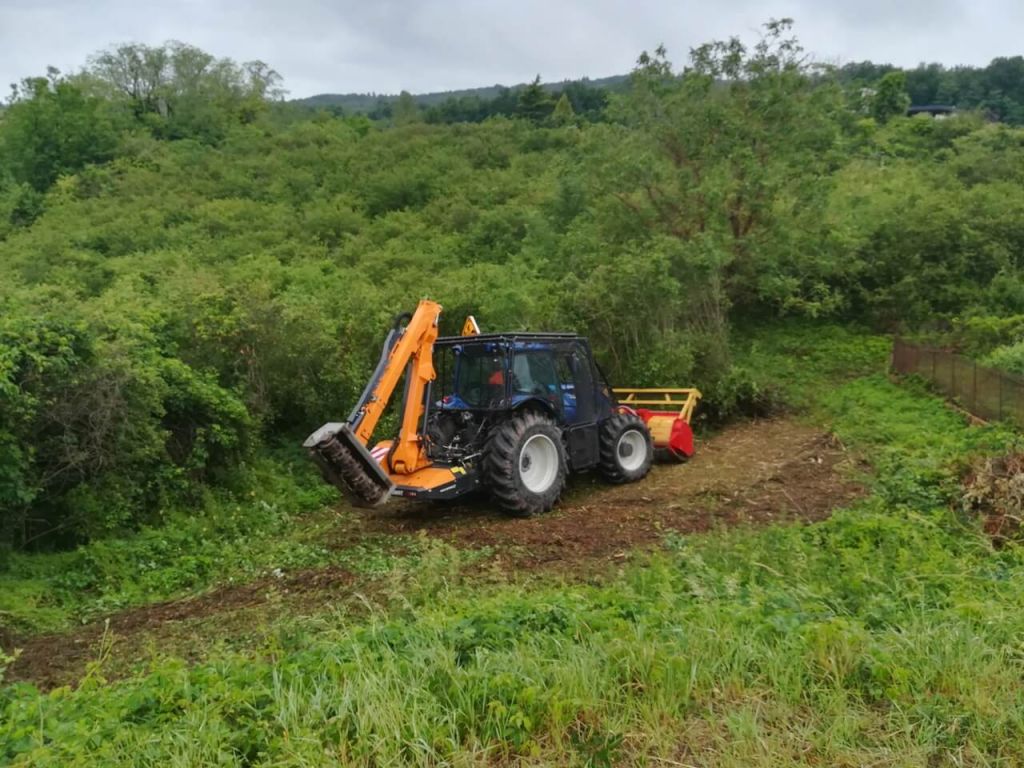 Lyon - Charlieu - Débroussaillage terrain  à bâtir pendant - 2019 - S190410 - 2.jpeg