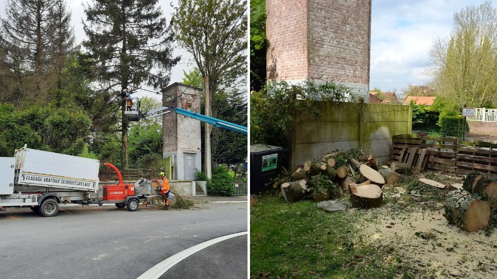 Lille - démontage d'un arbre pour des travaux d'aménagement.jpg