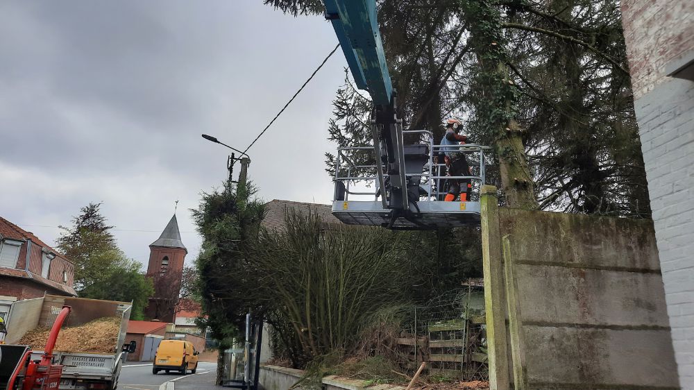 Lille - démontage d'un arbre pour des travaux d'aménagement  2.jpg