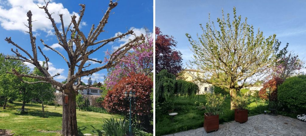 poitiers - entretien d'un parc à parthenay.jpg