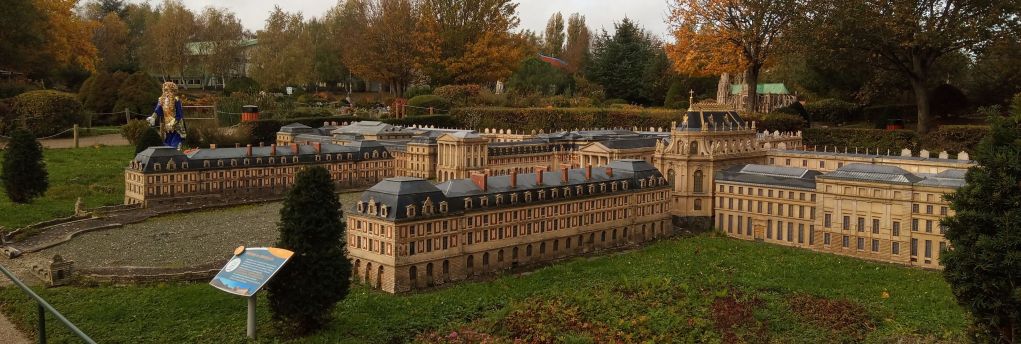 La Rochelle - Taille de bois mort à Saint Laurent de La Prée (17).jpg