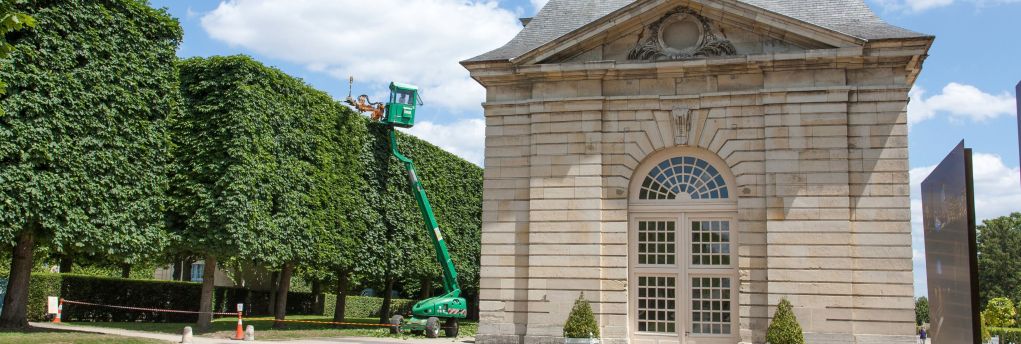 SEM - Plantation à Bourg La Reine (92) 2.jpg