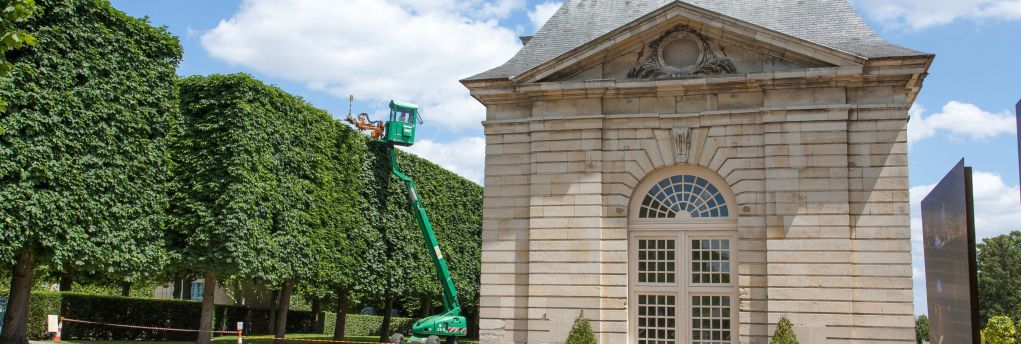 SEM - Taille et abattage d’arbres à Viroflay (78).jpg