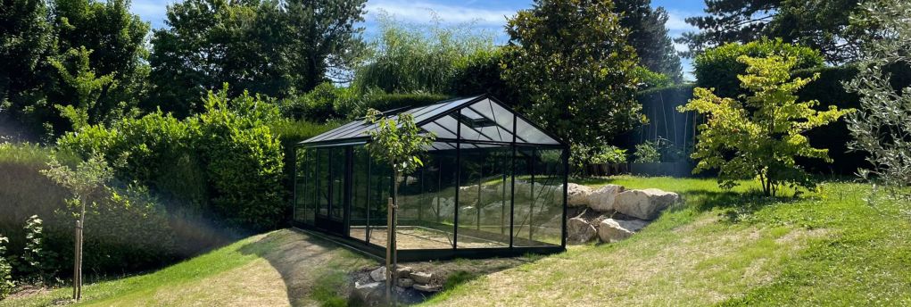 SEM - Taille et abattage d’arbres à Viroflay (78) 2.jpg