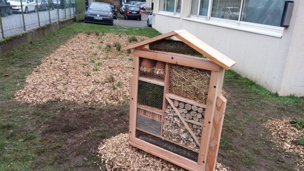 SEM - Remise en état des espaces à Marly-le-Roi (78) 4.jpg